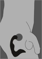 Wibrujący masażer prostaty krocza 9 trybów 14cm - obrazek 9