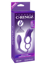 Plug/vibr-ASS GASM VIBRATING RABBIT PURPLE - obrazek 3
