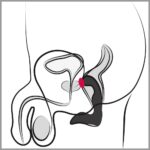 Wibrujący masażer prostaty krocza 9 trybów 14cm - obrazek 13