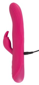 Coniglio - obrazek 14