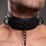 Collared Temptress Necklace with Nipple Clamps - obrazek 6
